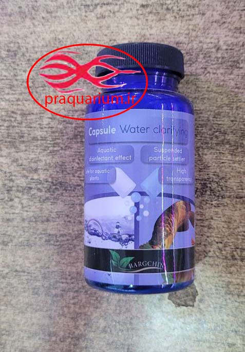 کپسول شفاف کننده آب برگچین