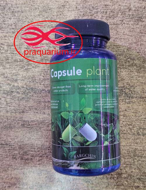 کپسول باکتری فعال پلنت برگچین